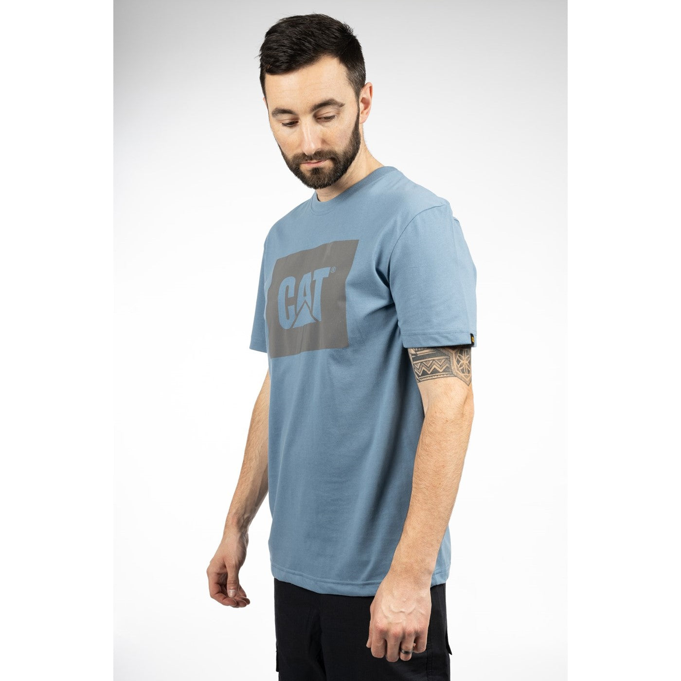 Caterpillar Graphic Tee Coronet Blue