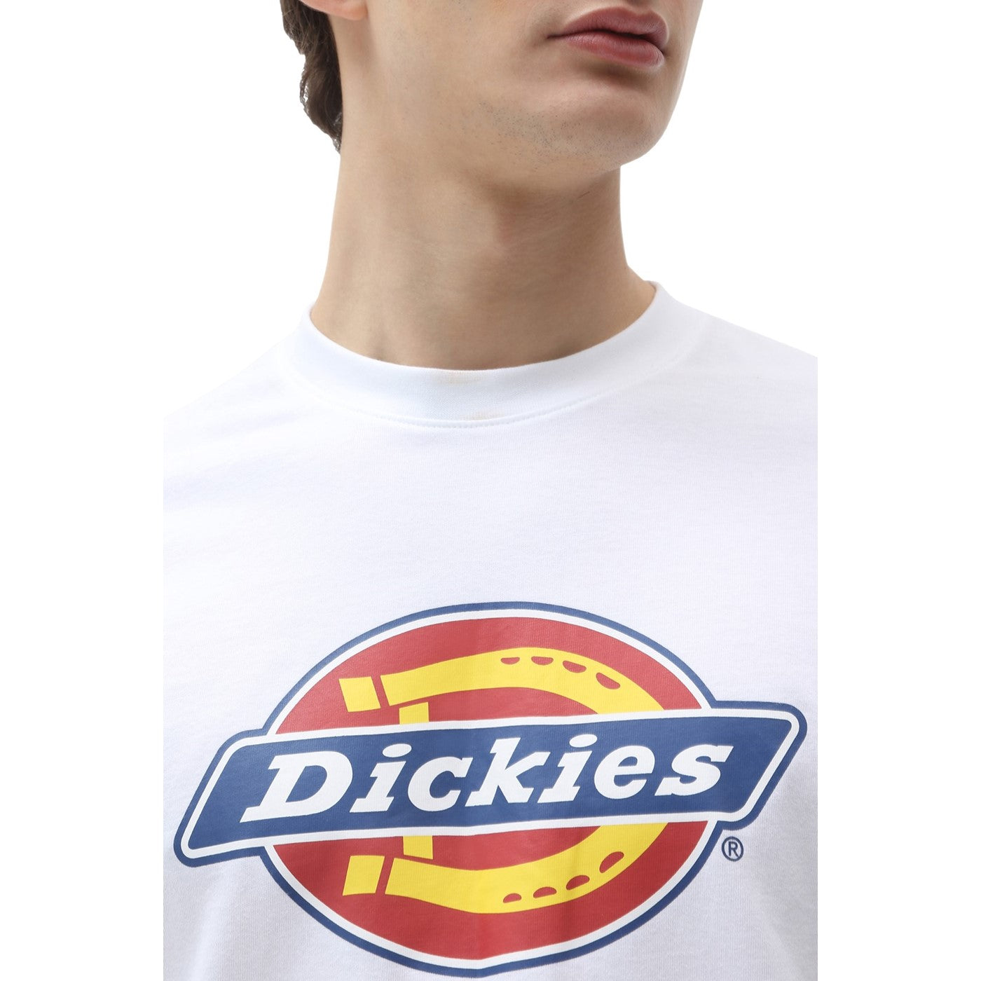 Dickies Icon Logo Short Sleeve T-Shirt  White